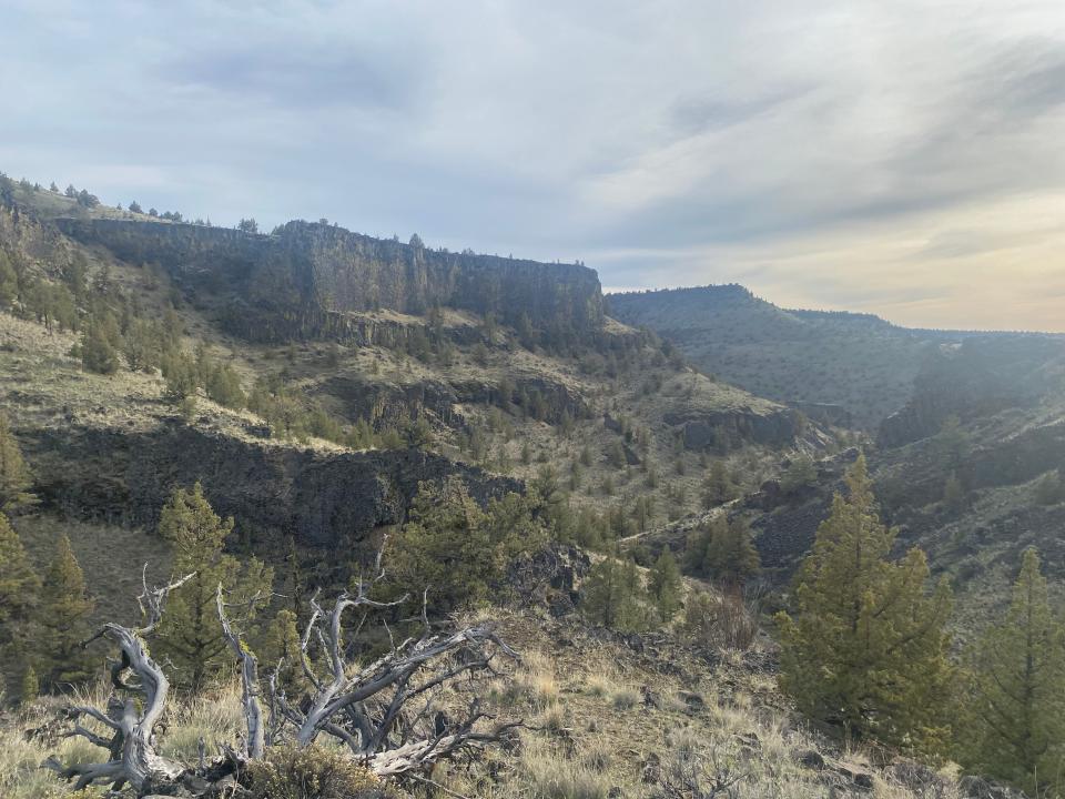 A south-facing view halfway up the Chimney Rock Trail.