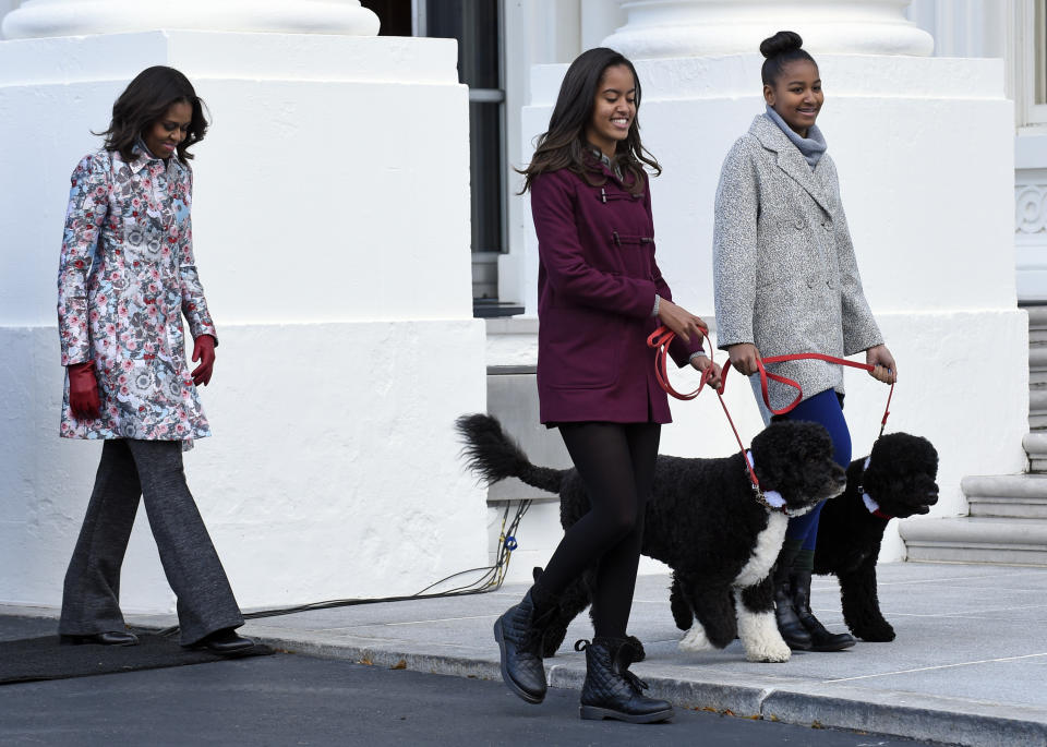 FILE - First lady Michelle Obama, left, follows her daughters Malia Obama, holding the leash for Bo, center, and Sasha Obama, holding the leash for Sunny, as they arrive to welcome the Official White House Christmas Tree to the White House in Washington, on Nov. 28, 2014. President Joe Biden and first lady Jill Biden have added a green-eyed tabby from Pennsylvania to the White House family. She's the first feline tenant since President George W. Bush’s controversially named cat India. With Presidents James K. Polk and Donald Trump among notable, no-pets exceptions, animals have a long history in the White House. (AP Photo/Susan Walsh, File)