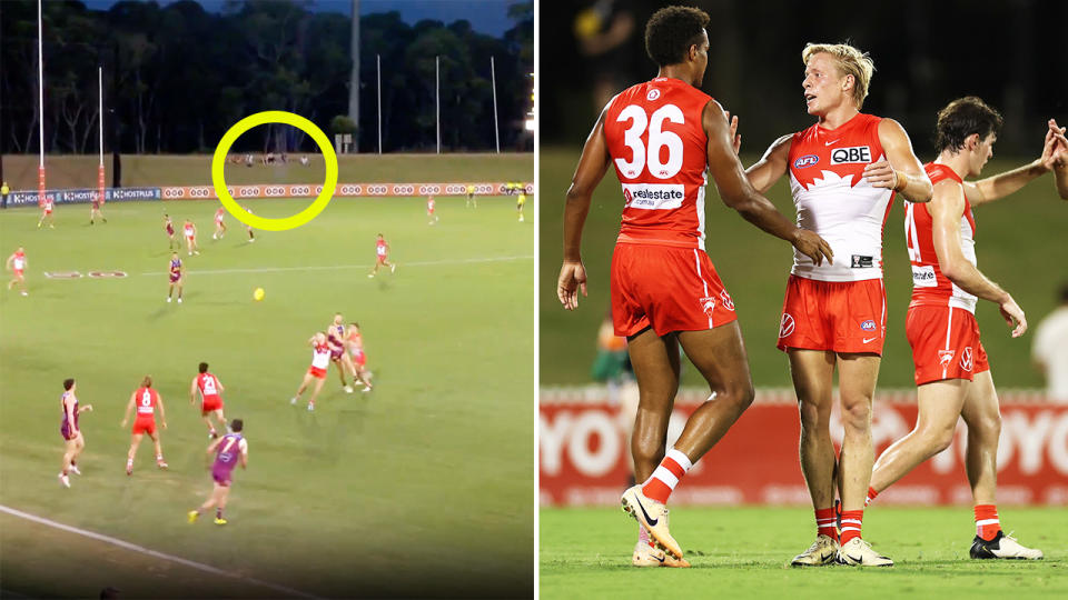 Sydney Swans fans, pictured here during their game against Brisbane.