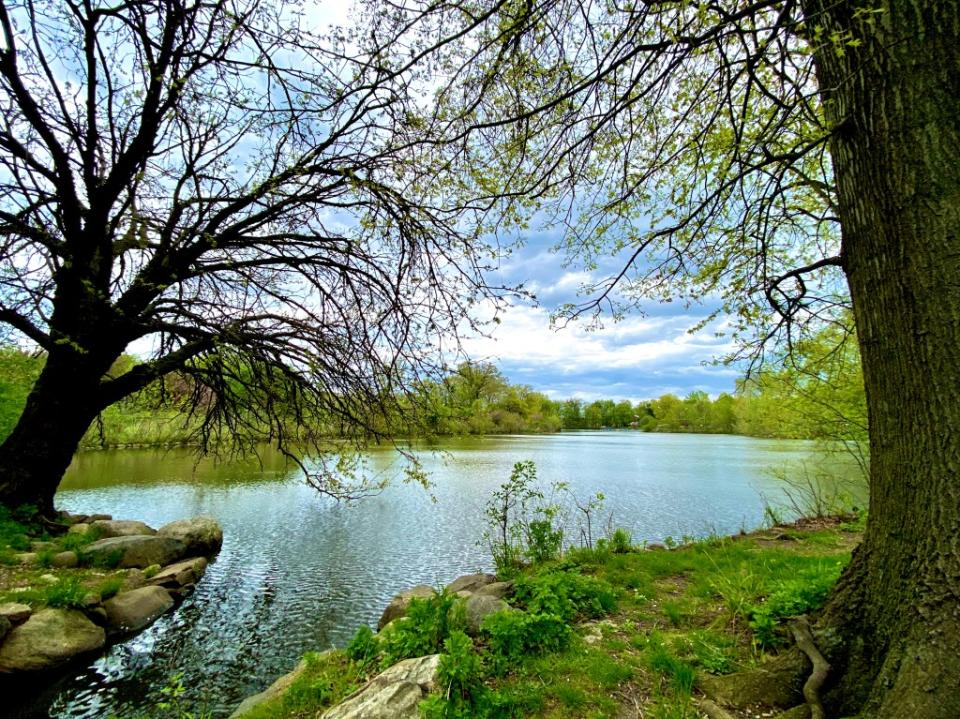 Warinanco Park via Getty Images