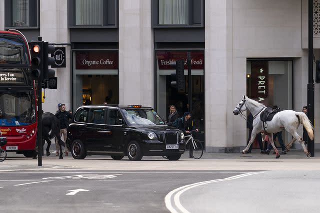 <p>Jordan Pettitt/PA Images via Getty Images</p> Multiple Household Cavalry horses got loose in London.