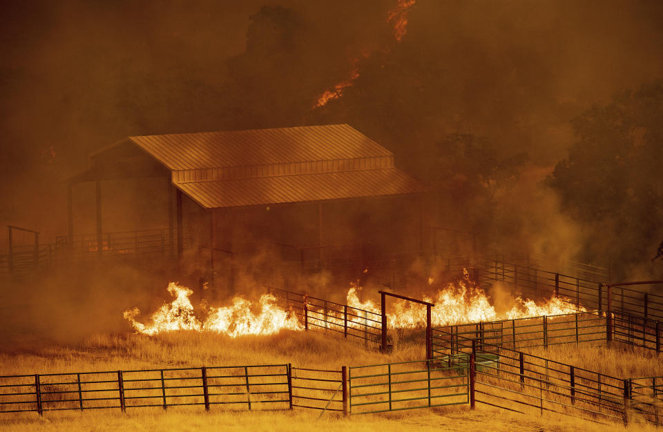 <p>Flames rise around an outbuilding as the County fire burns in Guinda, Calif., July 1, 2018. Evacuations were ordered as dry, hot winds fueled a wildfire burning out of control Sunday in rural Northern California, sending a stream of smoke some 75 miles south into the San Francisco Bay Area. (Photo: Noah Berger/AP) </p>