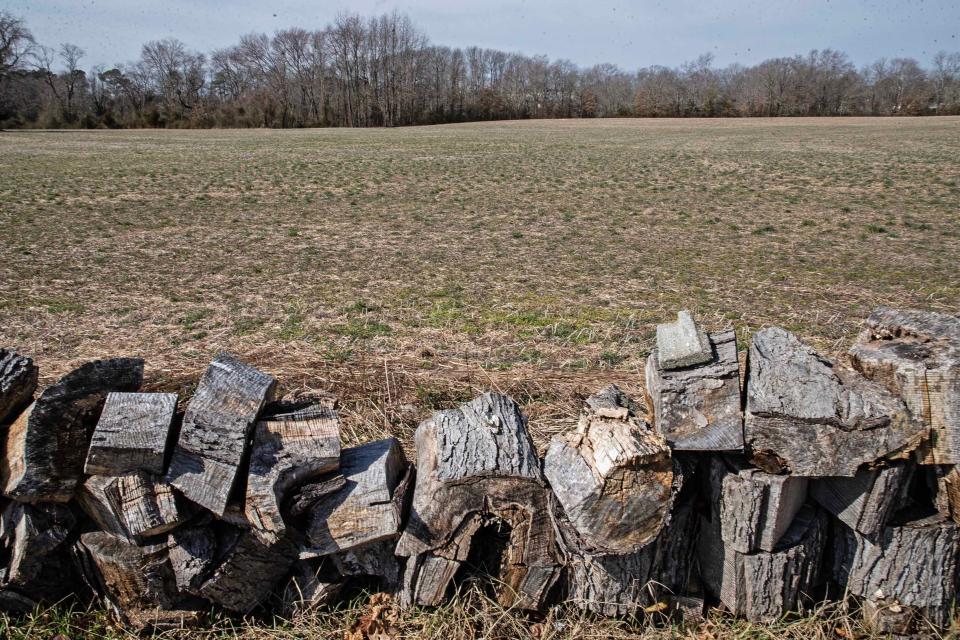 A panorama of a segment of Annette Billings' 8 acres of land is featured near Milford, Thursday, Feb. 22, 2024. Billings was facing an eminent domain case for her land that has been vacated.