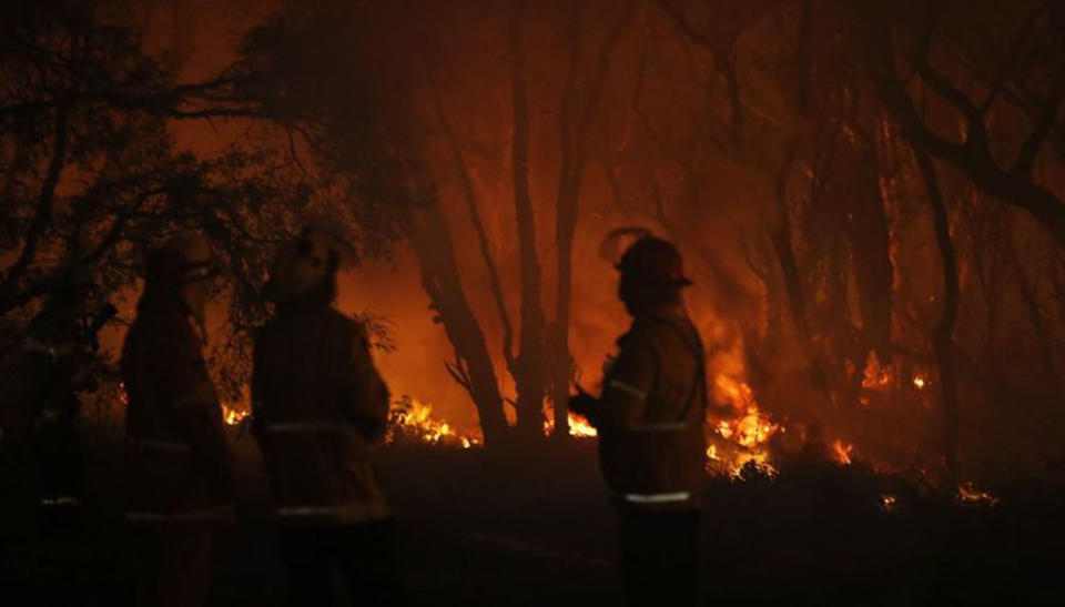 Firefighters battle a blaze as northern NSW and the Hunter region are facing an extreme fire dangers.