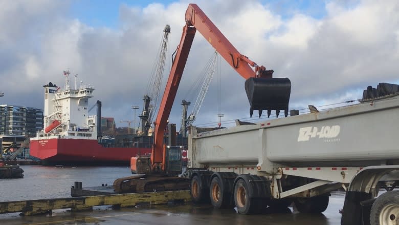 St. John's Harbour bones not human, say police