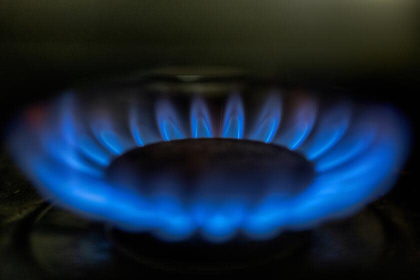 A gas-lit flame burns on a natural gas stove on Tuesday, March 26, 2024. The city of Berkeley, California, has agreed to halt enforcement of a ban on natural gas piping in new homes and buildings that was successfully opposed in court by the California Restaurant Association. (AP Photo/Richard Vogel)