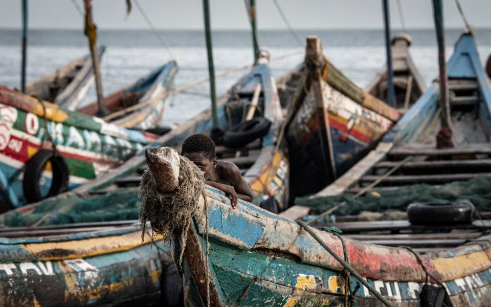 Fishermen landing their catch, Tombo Port, Sierra Leone - Simon Townsley/The Telegraph