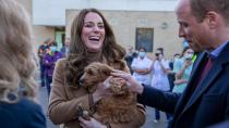 <p> Who wouldn't be able to resist a big, goofy grin when confronted with an adorable puppy? Kate Middleton, already a known dog lover, having had two family pups with William and her children, was introduced to a therapy puppy named Alfie during a visit to a community hospital in Lancashire. </p> <p> That look of love could have led to conversations back home about getting another dog to keep their cocker spaniel, Orla, company. </p>
