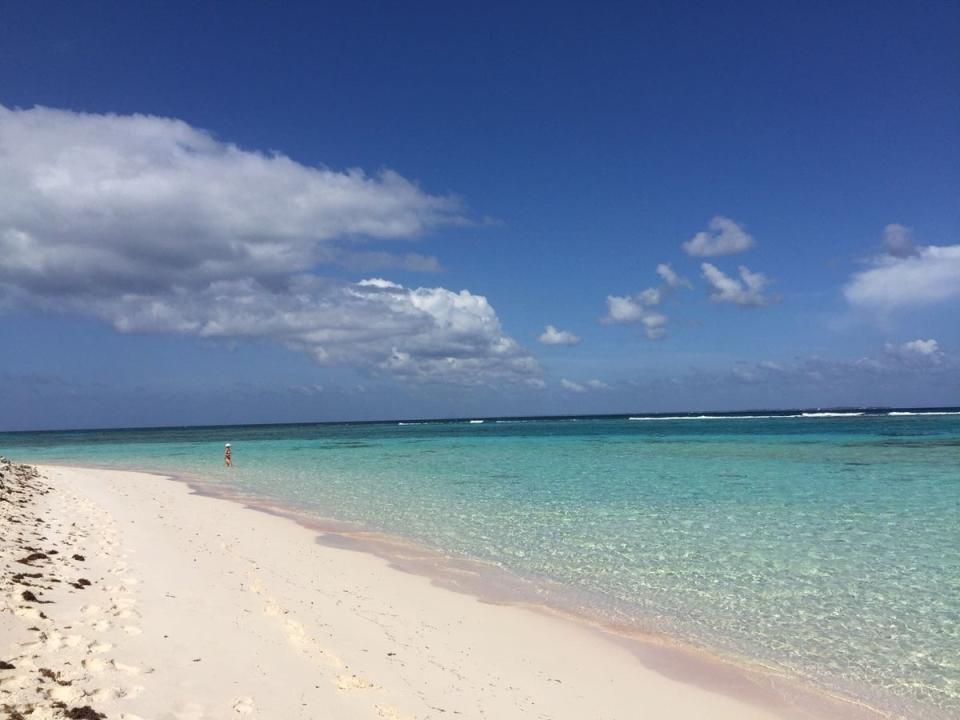 Cayman’s Seven Mile Beach (Estella Shardlow)
