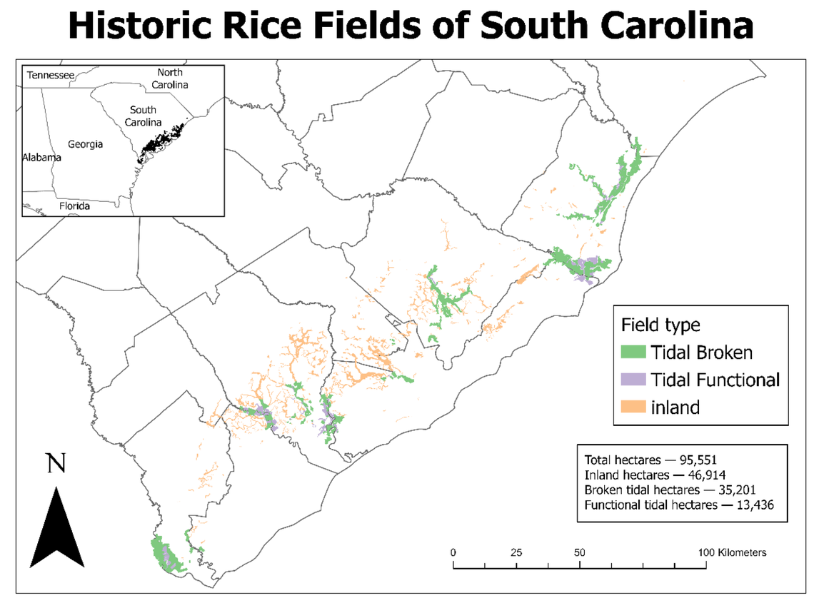A total of 236,112 acres of historic rice fields were mapped, much more than previously was known.