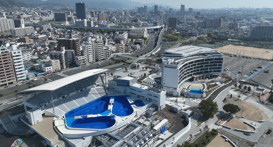 An aerial shot of Kobe Suma Sea World Hotel. If you look closely you can see Stella inside her tank.