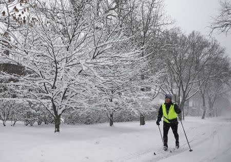 A woman cross country skis down a residential street in blizzard conditions in the Chicago suburb of Wilmette, Illinois, February 1, 2015. REUTERS/Jim Young