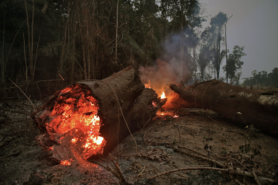 View of fire in the Amazon rainforest, near Abuna, Rondonia state, Brazil, on August 24, 2019. (Photo: CARL DE SOUZA/AFP/Getty Images) 