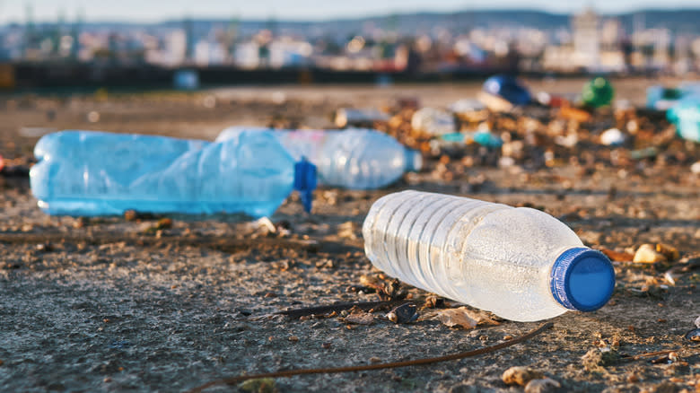 plastic bottles littering ground
