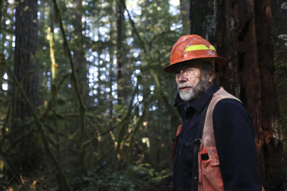 Peter Beedlow, scientist at the Environmental Protection Agency, stands next to a Douglas Fir in the Willamette National Forest, Ore., Friday, Oct. 27, 2023. Scientists are investigating what they say is a new, woefully underestimated threat to the world’s plants: climate change-driven extreme heat. (AP Photo/Amanda Loman)