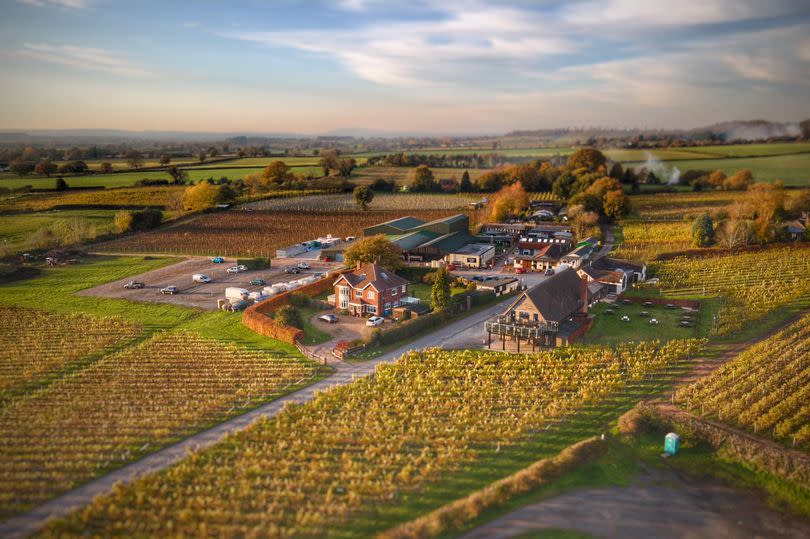Halfpenny Green Wine Estate