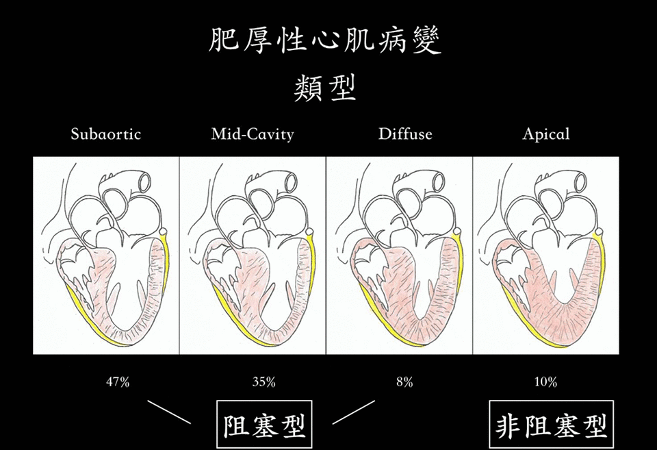 （圖表提供／振興醫院）