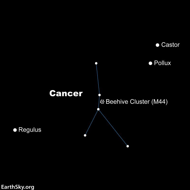 The constellation Leo the Lion will help sky viewers to find the Beehive star cluster, an open star cluster and is made up of about 1,000 stars.