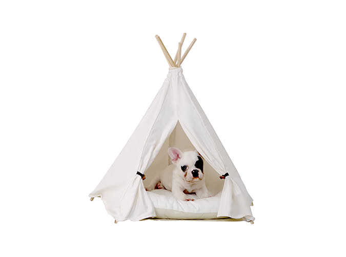 Puppy Teepee