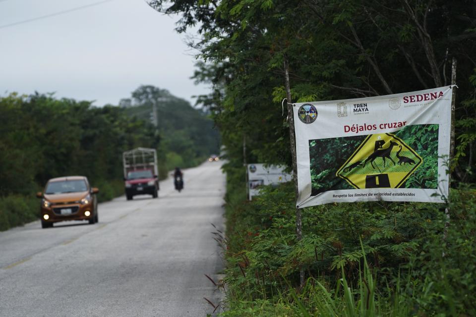 Vehicles traverse a road that includes a sign for the Maya Train and animal crossings in Xpujil, Mexico on Tuesday, Jan. 10, 2023. The Maya Train is intended to drive economic development to some of the country's poorest areas, in part by bringing up to three million tourists each year. (AP Photo/Marco Ugarte)