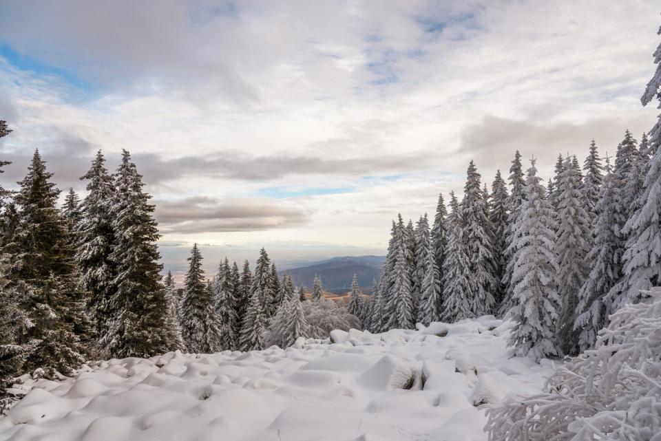 Borovets is one of the best-value European ski resorts for adults (Getty Images/iStockphoto)
