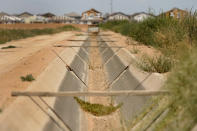 A dry irrigation canal runs between two unplanted fields as new home construction abuts dormant fields owned by Kelly Anderson on Thursday, Aug. 18, 2022, in Maricopa, Ariz. Anderson grows specialty crops for the flower industry and leases land to alfalfa farmers whose crops feed cattle at nearby dairy farms. He knows what's at stake as states dither over cuts and expects about half of the area will go unplanted next year, after farmers in the region lose all access to the river. (AP Photo/Matt York)