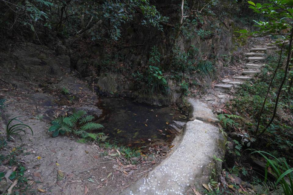 山徑附近有多個小湖，包括青衣靈異典故的「鬼仔湖」。張嘉敏指，雖然小湖並不在發展項目範圍，但工程期間定必影響生態，這些湖泊或將一一消失。