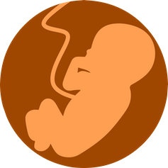 Silhouette of a fetus and umbilical cord in a circle.