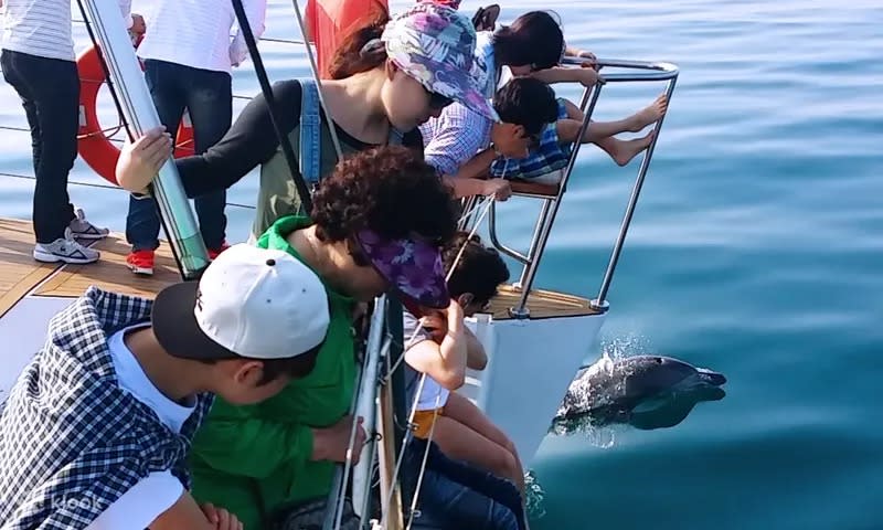 Gimnyeong Yacht Cruise Tour in Jeju. (Photo: Klook SG)