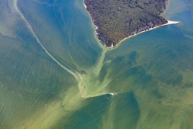 Harmful algal bloom in the Western Basin of Lake Erie: September 20, 2017