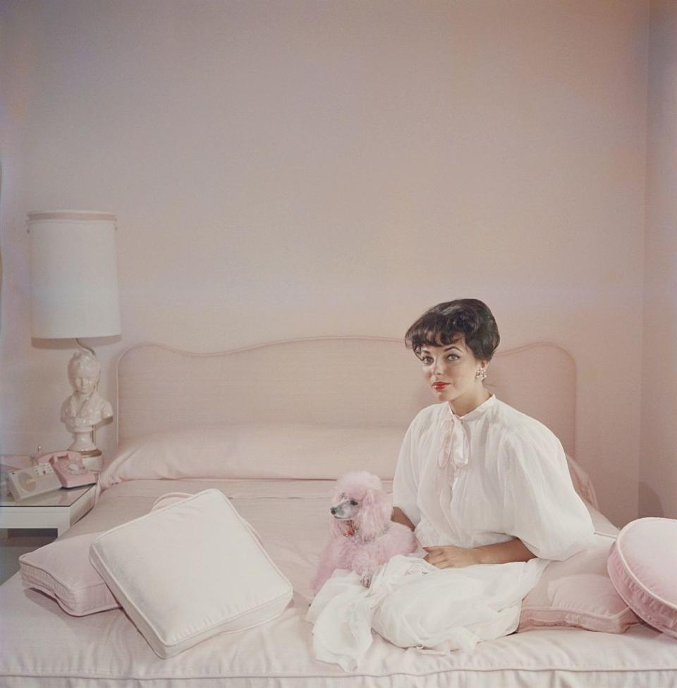 <p>Joan Collins is a vision in pink as she poses for a photograph in her pink bedroom with her pink poodle. </p>