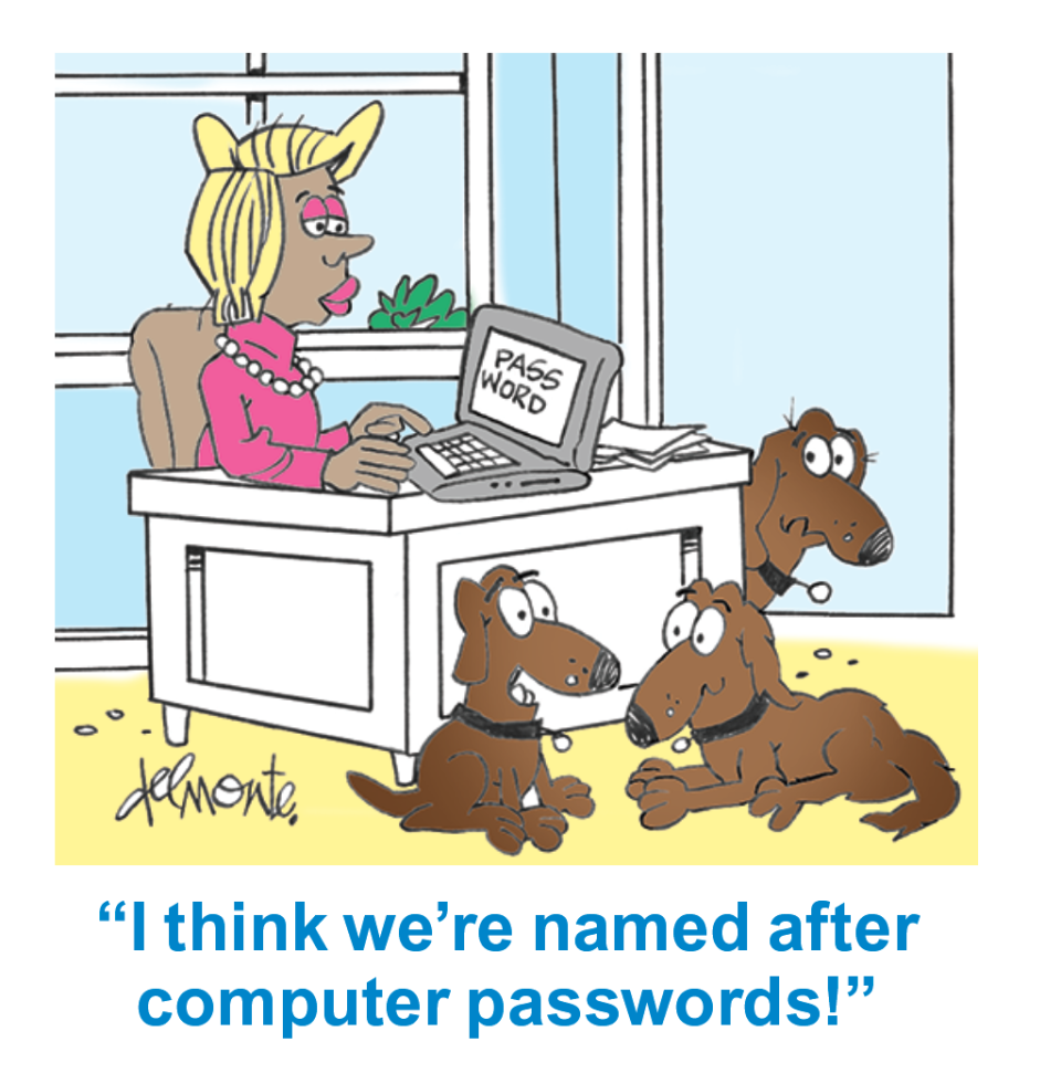 Dog jokes about being names after a computer password