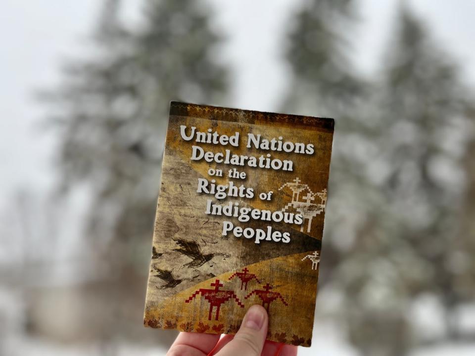 The United Nations Declaration on the Rights of Indigenous Peoples contains 26 articles affirming inherent and pre-existing collective rights and human rights of Indigenous peoples.