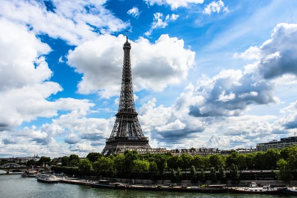 artist-danced-rooster-tied-to-penis-eiffel-tower-charged