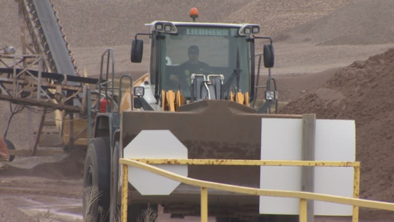 Province's monitoring of environmentally sensitive projects 'troubling,' AG says