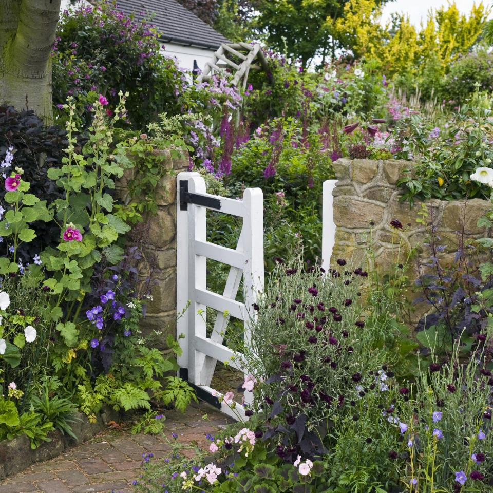 Plant mixed flowers in lieu of grass.