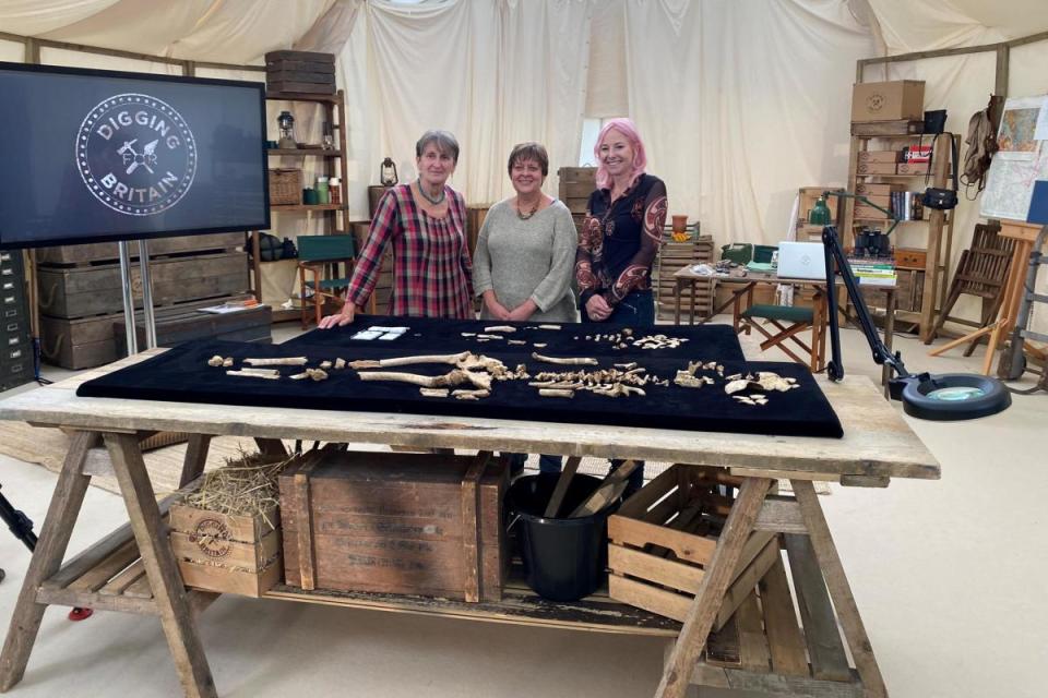 Professor Alice Roberts with osteologists Jacqueline McKinley and Ceri Boston from Wessex Archaeology in the Digging for Britain tent with two Anglo-Saxon burials found during excavations for Viking Link. / Credit: © Wessex Archaeology