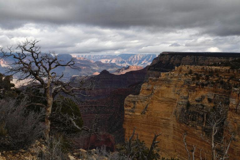 A woman has suffered a fatal fall at the Grand Canyon National Park after veering off a trail and plummeting nearly 200 feet, park officials confirmed. The 70-year-old woman fell Tuesday near the South Rim inside the national park. Her death marked the third fatal fall at the historic US landmark in recent weeks, while the cause of another person’s death in late-March remains under investigation. The woman had reportedly been walking about 200 to 300 feet (60 to 90 metres) off a trail along the South Rim about a mile east of Mather Point. Park rangers got a call just after 1pm that she needed help west of a popular overlook called Pipe Creek Vista.“She fell before we could undertake a rescue,” said Grand Canyon spokesman John Quinley, adding that the circumstances of the call for help were unclear.Mr Quinley said the woman fell between Mather Point and the starting point for the South Kaibab Trail, two well-known and highly visited places at the park’s more popular South Rim.The park’s helicopter and rescue team recovered the body.The woman’s name was being withheld until her family can be notified. Park officials didn’t immediately release the woman’s hometown.On 3 April, a 67-year-old California man fatally fell 400 feet (122 metres) from the edge of the South Rim in Grand Canyon Village, near the Yavapai Geology Museum.A tourist from Macau, China, also fell to his death on 28 March. The man was trying to take a photo at Grand Canyon West’s Eagle Point — close to the Skywalk located on the Hualapai Reservation outside the park — when he stumbled and fell.The body of a Japanese tourist was found March 26 in a wooded area south of Grand Canyon Village, away from the rim.Park officials said about 12 people die each year within the park. The deaths can be attributed to everything from accidental falls to heat, as well as drownings during rafting trips on the Colorado River.The Associated Press contributed to this report