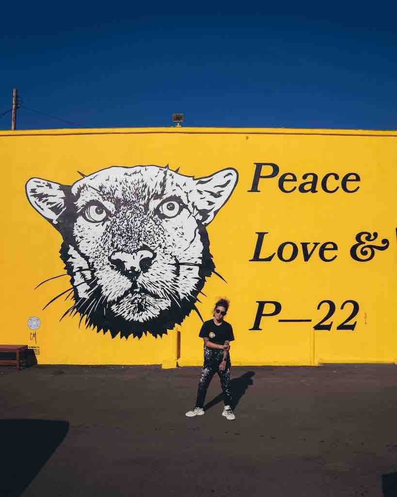 P-22 mural