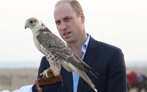 The Duke of Cambridge looks at a bird of prey during a reception hosted by Sheikh Mohamed Abdullah in the Kuwaiti Desert - Credit: PA