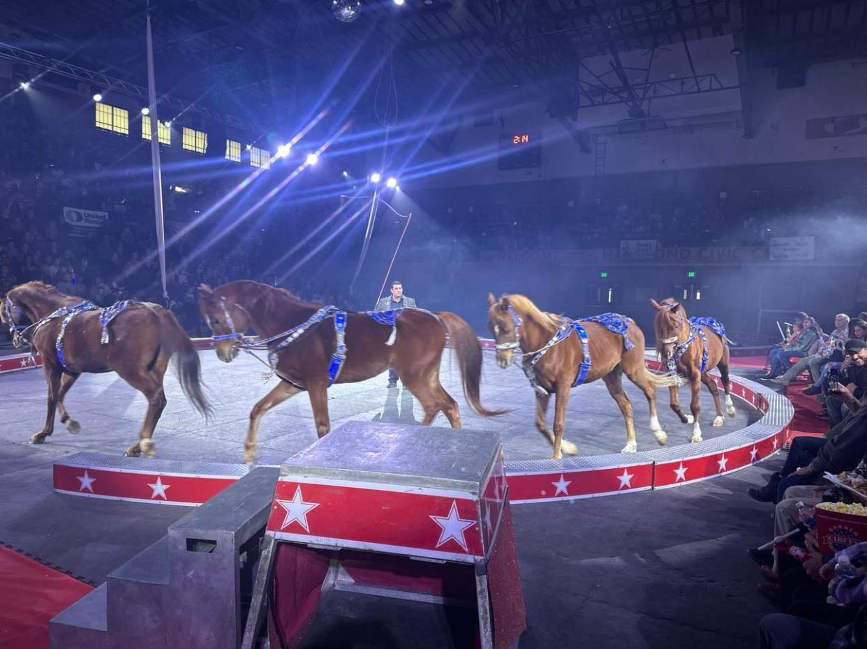 Horses will star in the show during Circus World's summer 2024 performance season.