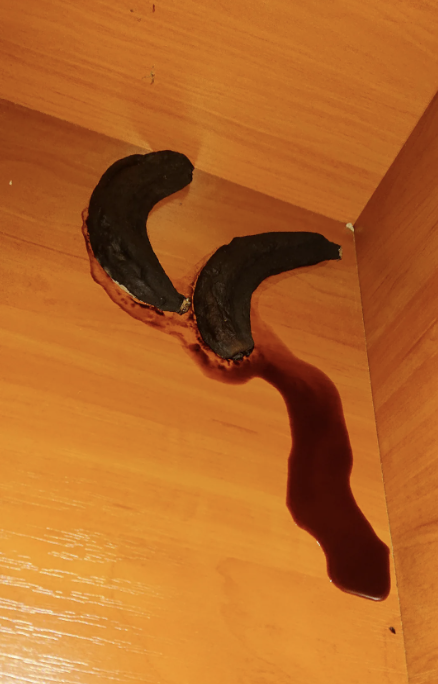 Two charred banana peels with brown liquid spilling from them on a wooden surface
