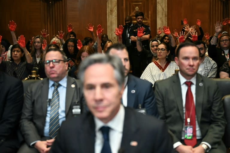 Pro-Palestinian demonstrators hold up painted hands in protest as US Secretary of State Antony Blinken testifies before a Senate Appropriations subcommittee (Jim WATSON)