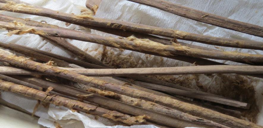 Palos higiénicos chinos de hace 2000 años descubiertos en una letrina empleada en la ruta de la seda. (Crédito imagen University of Cambridge).