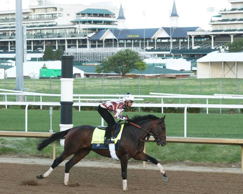 Kentucky Derby hopeful Sierra Leone gallops at Churchill Downs on April 23. His name comes from his sire, Gun Runner, because there is a lot of arms dealing in Sierra Leone, Africa.