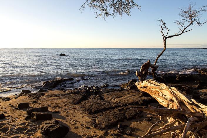 Beach Nude Hawaii - Man Fights Off 12-Foot Shark with Knife During Second Attack in Less Than a  Week in Hawaii