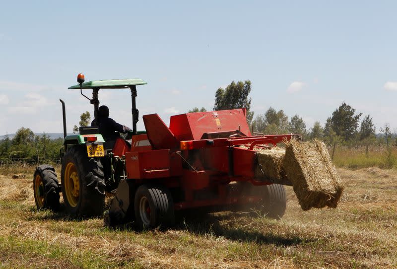 A John Deere 5503, installed with the Hello Tractor technology connecting farmers with tractor owners, drops hay at a farm in Umande village in Nanyuki