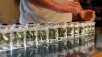A variety of medicinal marijuana buds in jars are pictured at Los Angeles Patients & Caregivers Group dispensary in West Hollywood, California U.S., October 18, 2016. REUTERS/Mario Anzuoni