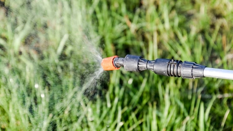 Al contaminar suelos y agua, los efectos de este herbicida afectan a los cultivos y por tanto al consumo humano. (Foto: Getty)