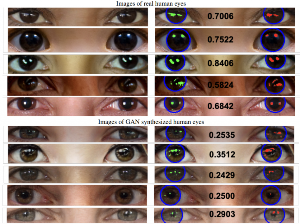 上圖為真實人類眼睛，下圖為虛擬人物眼睛